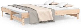 vidaXL Καναπές Κρεβάτι Συρόμενος 2x(80x200) εκ. από Μασίφ Ξύλο Πεύκου