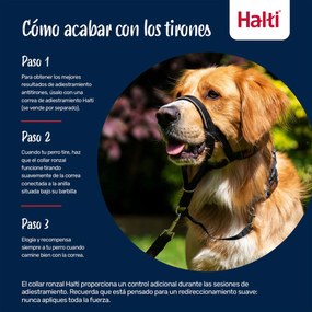 Ρύγχος Company of Animals COBALT Μπλε 2