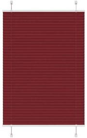 Πλισέ περσίδα Μπορντό κόκκινο 100x150 cm Πλάτος υφάσματος