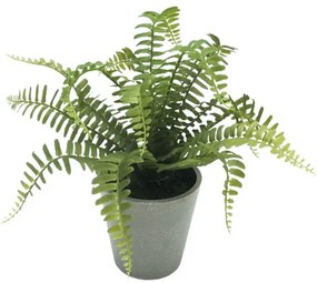 MarHome ΦΥΤΟ ΦΤΕΡΗ ΣΕ ΚΑΣΠΩ ΠΛΑΣΤΙΚΟ - Υ28cm 6/ΚΙΒ  04-20052(18832)