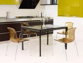 ALLEGRA AMBER TRANSP.(Σ4)ΚΑΡΕΚΛΑ
