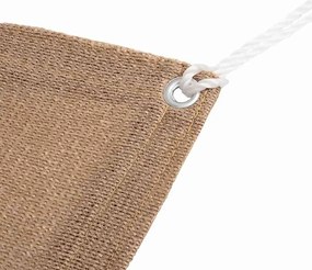 vidaXL Χαλί Σκηνής Taupe 250 x 600 εκ.