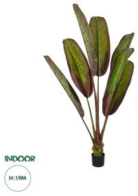 GloboStar® Artificial Garden BLOODY BANANA TREE 20118 Τεχνητό Διακοσμητικό Φυτό Αιματόφυλλη Μπανανιά - Μπανανόδεντρο Υ190cm