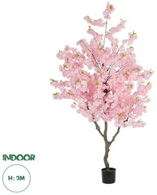 20678 GloboStar® Artificial Garden PINK CHERRY BLOSSOM TREE 20678 Τεχνητό Διακοσμητικό Δέντρο Ροζ Άνθος Κερασιάς Υ200cm