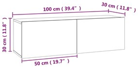 ΈΠΙΠΛΟ ΤΗΛΕΟΡΑΣΗΣ ΓΚΡΙ ΣΚΥΡΟΔΕΜΑΤΟΣ 100X30X30 ΕΚ. ΜΟΡΙΟΣΑΝΙΔΑ 801485