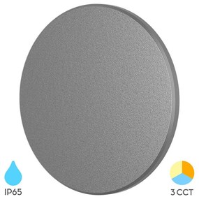 Φωτιστικό Επίτοιχο Braytron BG37-00282 Γκρι (Grey) CCT3