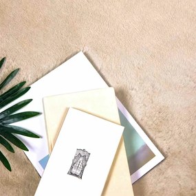 vidaXL Χαλιά Ψεύτικου Κουνελιού Olite Μπεζ 240 x 340 εκ. Πολυεστέρας