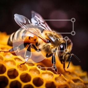 Intra Συλλεκτικό Ξύλινο Παζλ Plywood 4mm - Κοντινό πλάνο μιας μέλισσας στην κηρήθρα Σε Ξύλινο Κουτί - Διαστάσεις: 10x10 cm – 25 κομμάτια