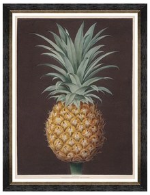 Κάδρο Pineapples Of Antigua - The Havannah Pine By Brookshaw FA13200 60X80 MindTheGap Κάθετοι Wood