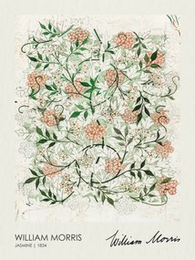 Αναπαραγωγή Jasmine (1834), William Morris