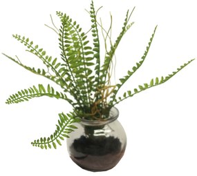 Supergreens Τεχνητό Φυτό Φτέρη 20 εκ. - 2750-6 - 2750-6