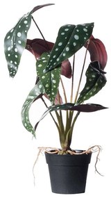 Τεχνητό Φυτό Μπιγκόνια Malucata 0460-6 27x27x40cm Multi Supergreens Polyethylene