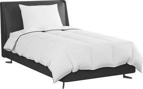 vidaXL Χειμερινό Παπλωματοθήκη με μαξιλάρι 2 pcs Λευκό Φτέρος