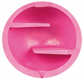 Μασητικό Οδοντοφυΐας Σκύλου Trixie