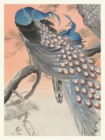 Εκτύπωση έργου τέχνης Two Peackcoks on a Peach Branch (Japandi Vintage) - Ohara Koson, (30 x 40 cm)