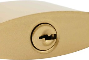 vidaXL Κλειδαριά U με Κλειδιά 12 pcs Ορείχαλκος Σίδερο