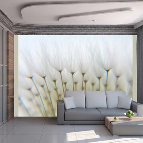 Φωτοταπετσαρία - Dandelion forest 300x231