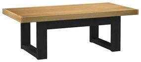 vidaXL Τραπεζάκι σαλονιού NOAIN με πόδια σχήματος U 120x60x40 cm