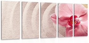 Εικόνα 5 μερών περισσότερη άμμος και ροζ ορχιδέα