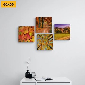 Σετ εικόνων της φύσης στα χρώματα του φθινοπώρου - 4x 40x40