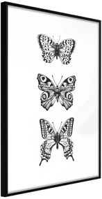 Αφίσα - Butterfly Collection III A - 20x30 - Μαύρο - Χωρίς πασπαρτού