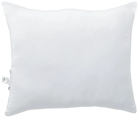 vidaXL Μαξιλάρια 2 pcs Λευκό 60 x 70 cm