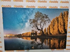 Εικόνα δέντρου κάτω από τον έναστρο ουρανό - 90x60