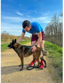 Λουρί Σκύλου Olympia XS