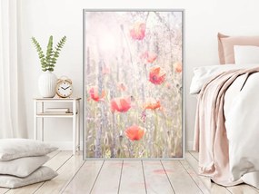 Αφίσα - Poppies - 40x60 - Μαύρο - Με πασπαρτού