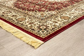ΧΑΛΙ PERSIA 1019 BURGUNDY ΜΕ ΚΡΟΣΣΙ - 080X150  NewPlan - 5-79-PRS-13345_1019B-080X150