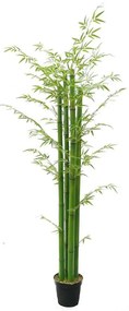 Τεχνητό Δέντρο Μπαμπού Golden 4280-6 70x230cm Green Supergreens Polyethylene