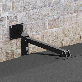 vidaXL Ομπρέλα Κήπου Ανθρακί, Μαύρο 248.5 x 247.5 x 160 εκ.