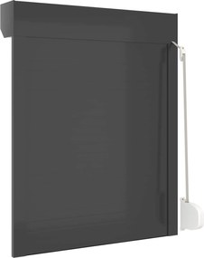 vidaXL Ρολό εισόδου Ανθρακί 80 x 100 cm Αλουμίνιο και Πολυουρεθάνη