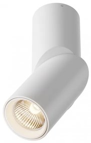 Σποτ Φωτιστικό Οροφής-Τοίχου LED 3000K Dafne 10W IP20 Φ5 MAYTONI C027CL-L10W Λευκό