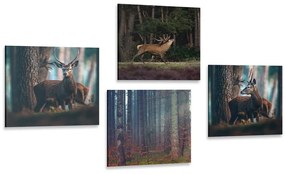 Σετ εικόνων με όμορφα σχέδια των ζώων του δάσους - 4x 40x40