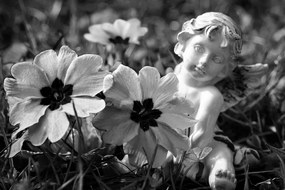 Εικόνα αγγέλου στον κήπο σε ασπρόμαυρο - 90x60