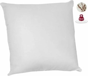 Σετ 2 μαξιλαριών Abeil 60 x 60 cm (x2)