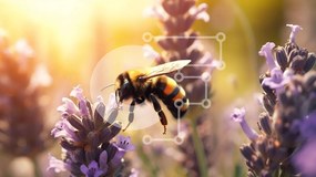 Intra Συλλεκτικό Ξύλινο Παζλ Plywood 4mm - Μέλισσα στα λουλούδια λεβάντας με τον ήλιο να λάμπει πίσω Σε Ξύλινο Κουτί - Διαστάσεις: 10x10 cm – 25 κομμάτια