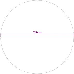 vidaXL Βουρτσισμένη Μπάλα 6 τμχ. Ø 7,5 εκ. Ασημί Ανοξείδωτο Ατσάλι 201