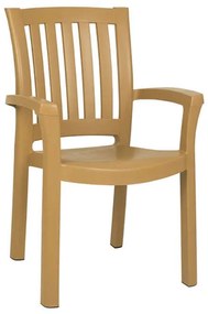 ΚΑΡΕΚΛΑ ΠΛΑΣΤΙΚΗ SKG MALIBU TEAK