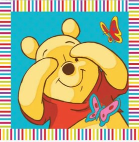 Λαβέτα-Μαγική Πετσέτα 30x30εκ. Digital Print Winnie 01 Disney Dimcol