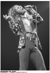 Αφίσα Led Zeppelin - Robert Plant March 1975 (colour)