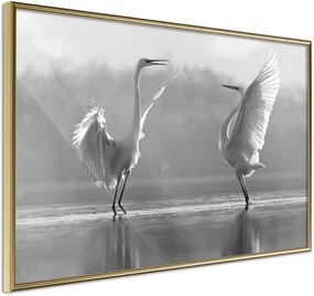 Αφίσα - Black and White Herons - 90x60 - Χρυσό - Χωρίς πασπαρτού