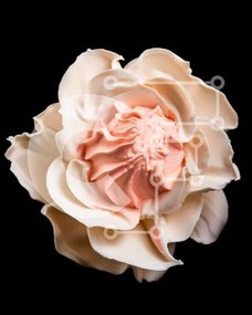 Intra Συλλεκτικό Ξύλινο Παζλ Plywood 4mm - Λευκό λουλούδι με ροζ πάγωμα Σε Ξύλινο Κουτί - Διαστάσεις Puzzle: 10x10 cm – 25 κομμάτια