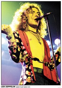 Αφίσα Led Zppelin - Robert Plant, (59.4 x 84.1 cm)