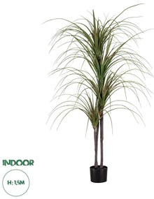 20015 GloboStar® Artificial Garden DRAGON BLOOD TREE 20015 - Τεχνητό Διακοσμητικό Φυτό Δράκαινα Υ150cm