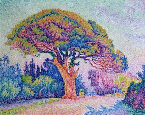 Αναπαραγωγή The Pine Tree at St. Tropez, 1909, Paul Signac