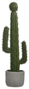 Διακοσμητικός Κάκτος Σε Γλάστρα 3-85-311-0010 Pl Green 13x11x42cm Inart Plastic