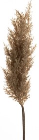 Κλαδί Με Pampas Καφέ 100εκ. iliadis 84721