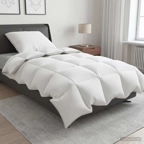 vidaXL Σετ πάπλωμα 90% χήνας FULDA 2 τμχ. 152 x 203 cm Όλες οι εποχές
